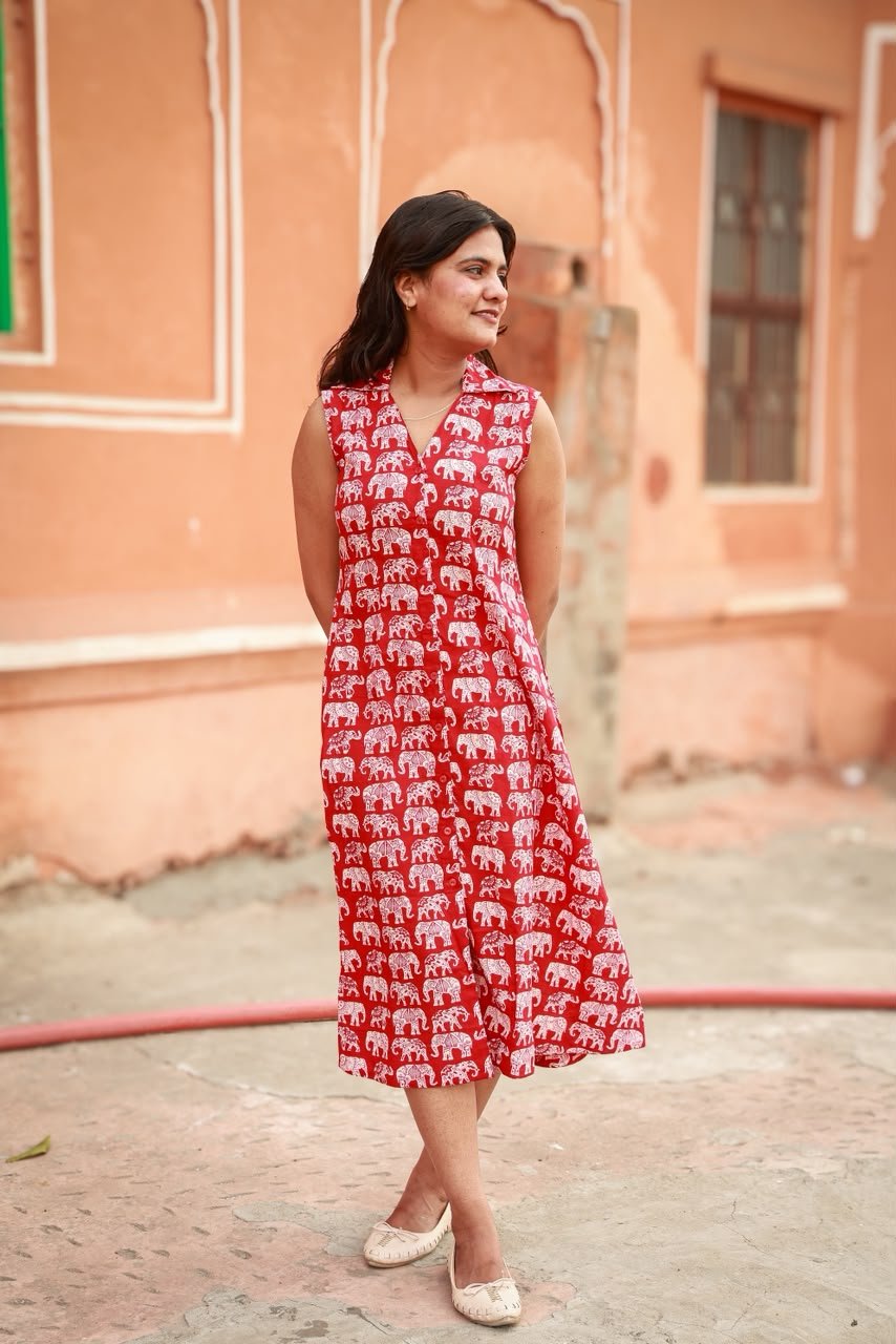 Elephant print premium A line dress view 1