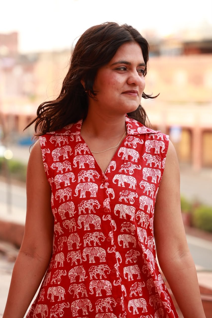 Elephant print premium A line dress view 2